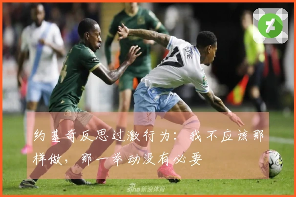 约基奇反思过激行为：我不应该那样做，那一举动没有必要