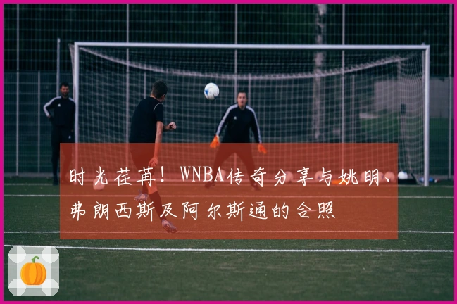 时光荏苒！WNBA传奇分享与姚明、弗朗西斯及阿尔斯通的合照